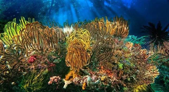 双轨式在线自动雷达测流系统安装手册